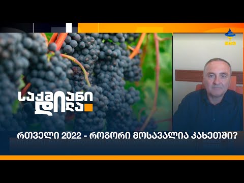 რთველი 2022 - როგორი მოსავალია კახეთში?